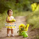 بک گراند پاییزی برای فتوشاپ عکس آتلیه کد 4179