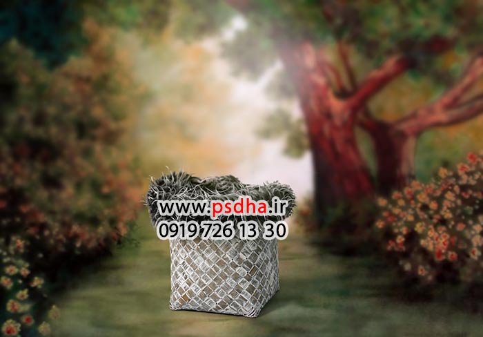 پس زمینه باغ برای طراحی عکس