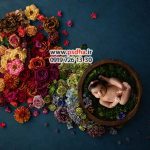 دانلود بکگراند عکاسی برای طراحی عکس کد 4184