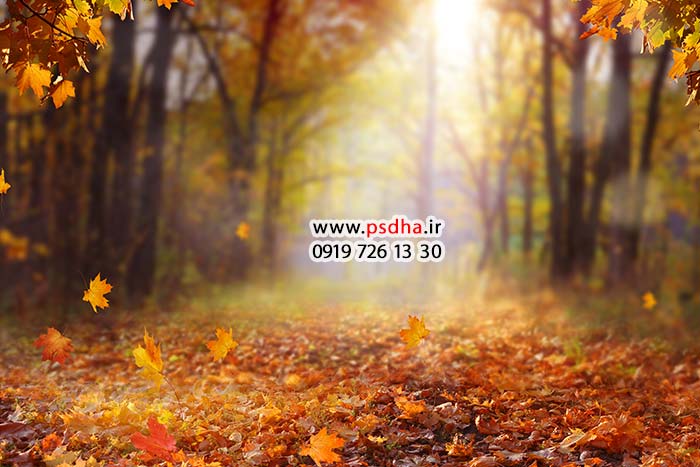دانلود بک گراند پاییز و تولد