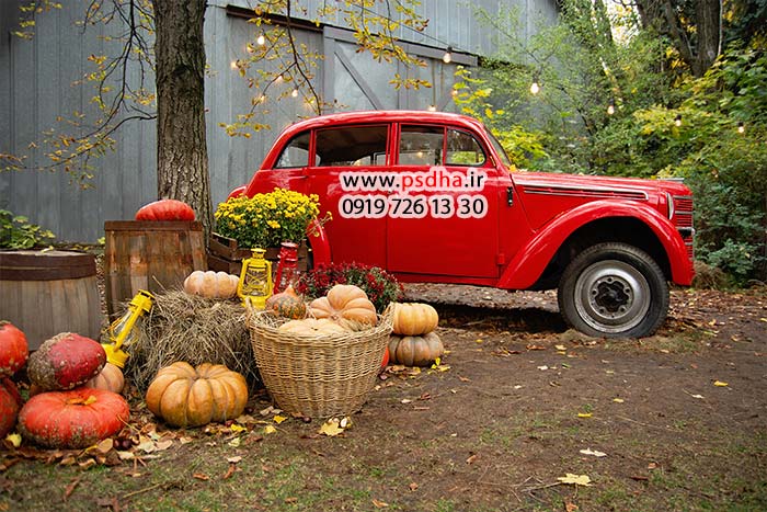 دانلود بک گراند پاییز و تولد