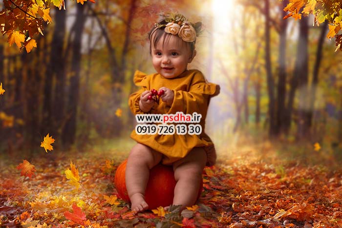 دانلود بک گراند پاییز و تولد