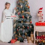 بکگراند کریسمس و زمستان کد 4213