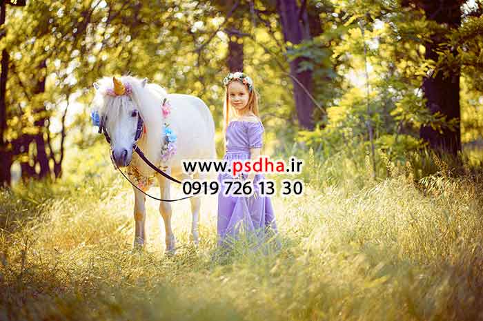 بک گراند اسب تک شاخ و یونیکورن