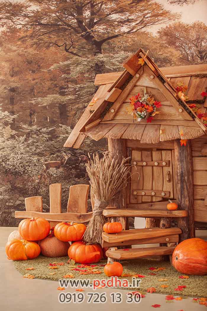 بک گراند زمستانی و کریسمس جدید 