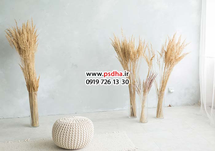 بک گراند اسپرت ، عروس داماد 