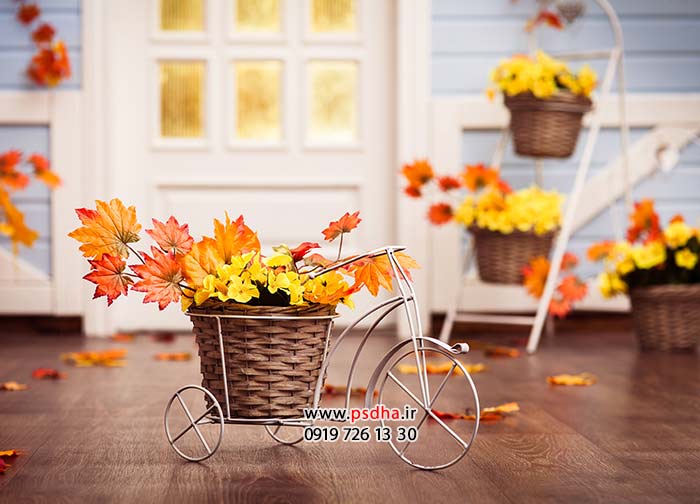 مجموعه ی 40 تایی بکگراند کودک