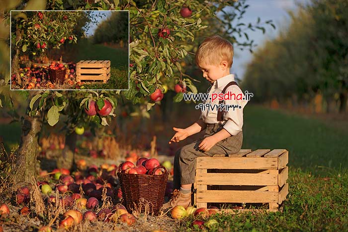 بک گراند طبیعت و باغ با کیفیت عالی 