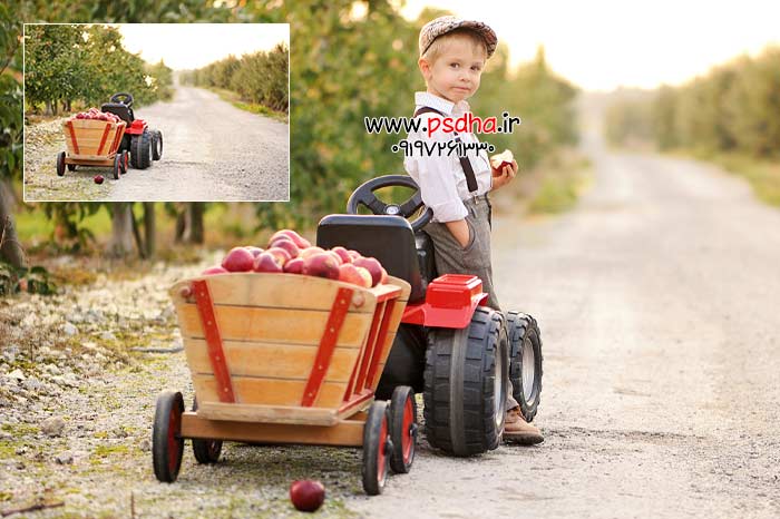 بک گراند طبیعت و باغ با کیفیت عالی 