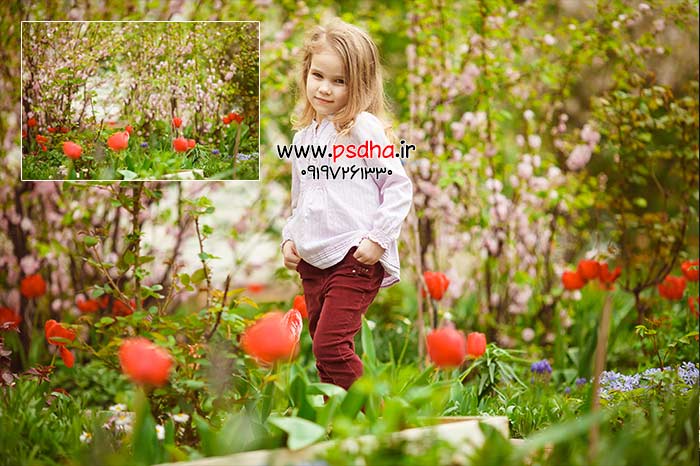 بک گراند طبیعت و باغ با کیفیت عالی 