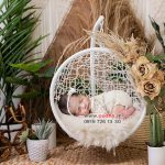 بک دراپ نوزادی جدید کد 4298