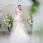 پس زمینه عکس آتلیه برای طراحی کد 4304