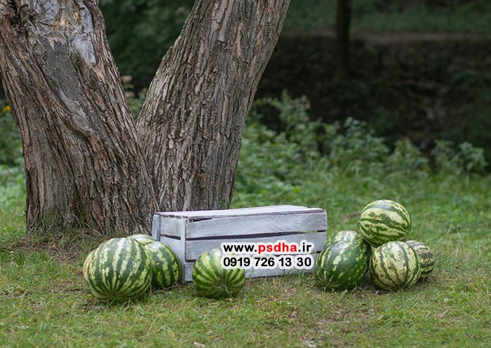 پس زمینه عکس آتلیه برای طراحی