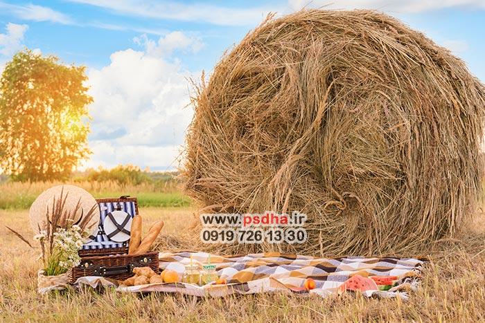 بک گراند پاییز جدید و زیبا 