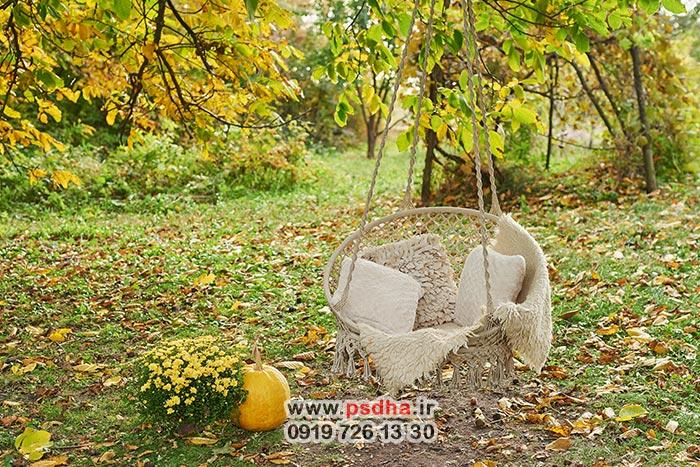 بک گراند پاییز جدید و زیبا 