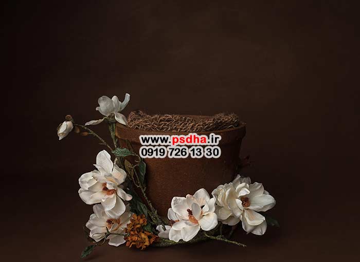 بک دراپ نوزاد با دکورهای جذاب