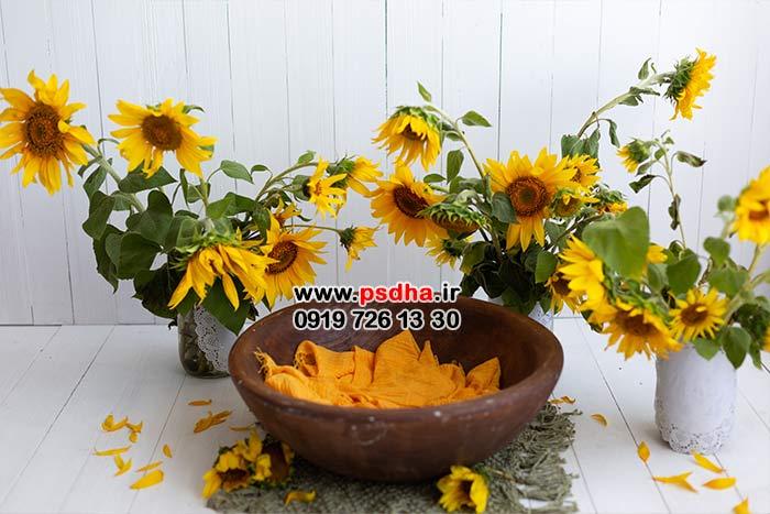 بک گراند های کودک برای طراحی