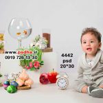 دکور هفت سین برای طراحی عکس کد 4442