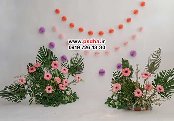 بک گراند آتلیه برای عکس