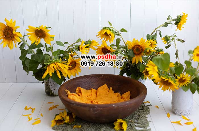 بکدراپ نوزاد برای طراحی عکس های آتلیه