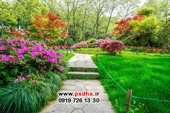 بکگراند باغ و طبیعت