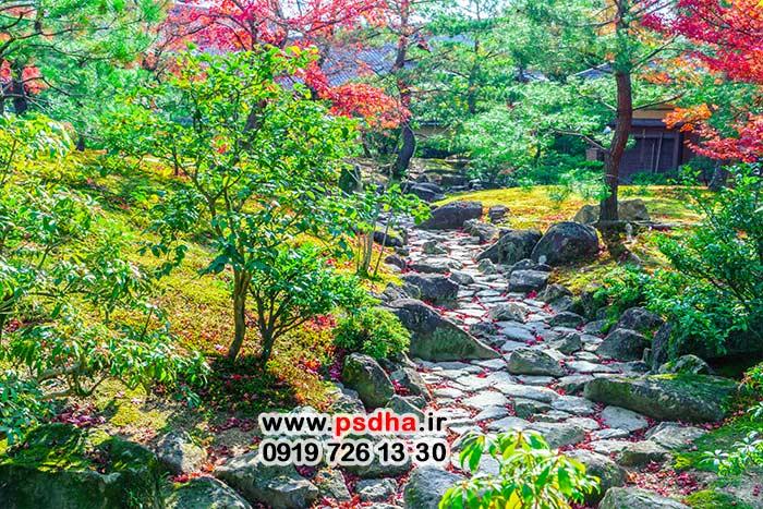 بکگراند باغ و طبیعت