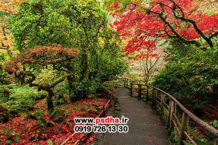 بکگراند باغ و طبیعت