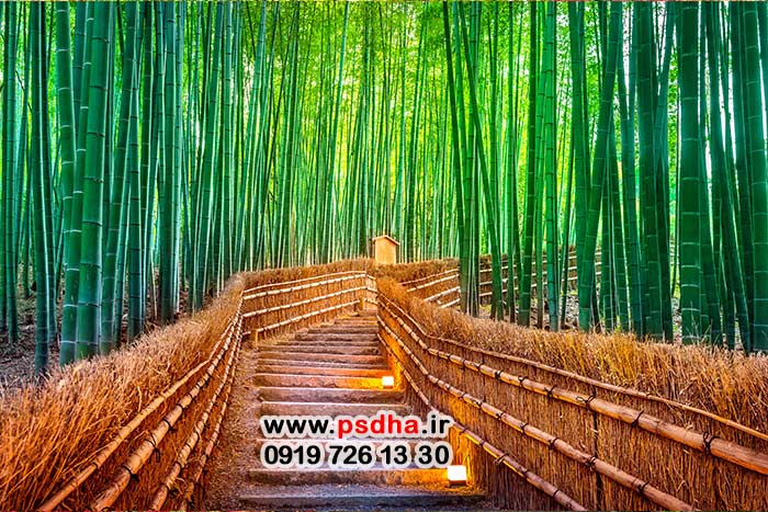 بکگراند باغ و طبیعت