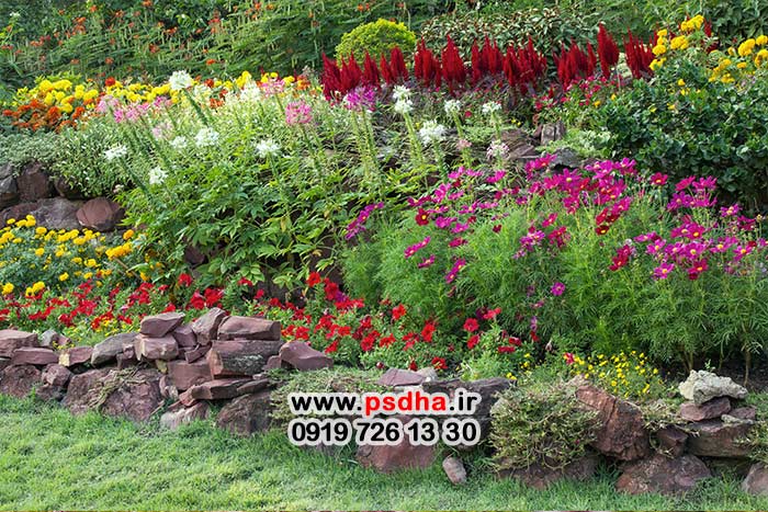 بک گراند باغ عروس 