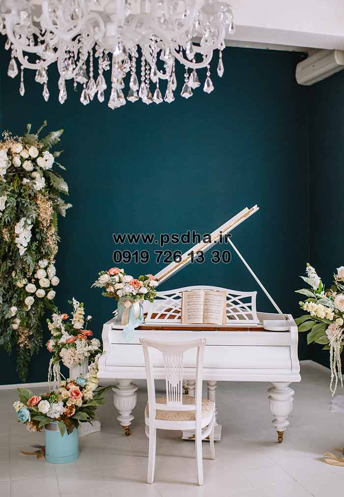 بک گراند استودیویی عروس و داماد