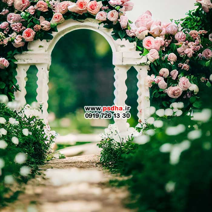 بک گراند آتلیه ای تولد