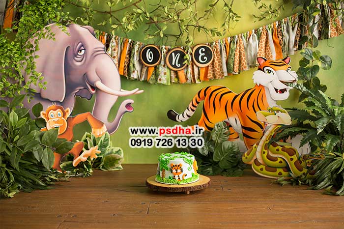 بک گراند آتلیه ای تولد