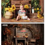 پس زمینه های پاییزی زیبا و هالوین برای طراحی عکس کد 4538