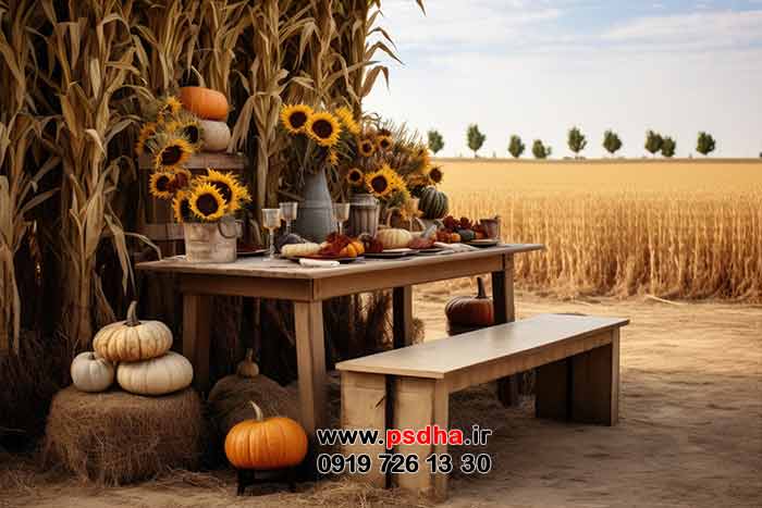 پس زمینه های پاییزی زیبا ، هالوین و طبیعت رنگارنگ پاییز