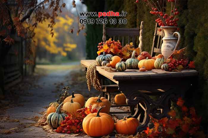 پس زمینه های پاییزی زیبا ، هالوین و طبیعت رنگارنگ پاییز