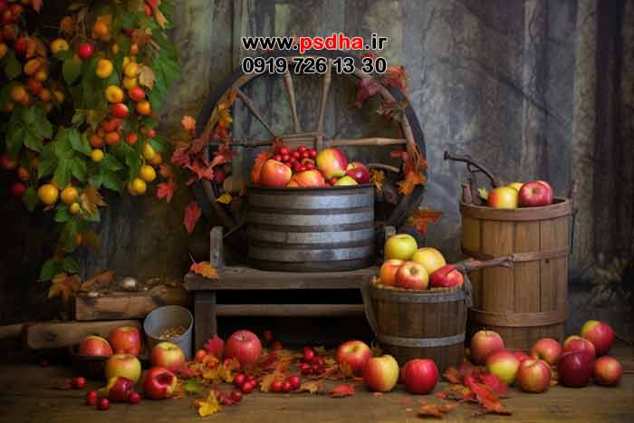 پس زمینه های پاییزی زیبا ، هالوین و طبیعت رنگارنگ پاییز