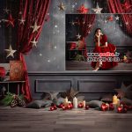 دکور یلدا بصورت تک لایه با کیفیت عالی کد 4548