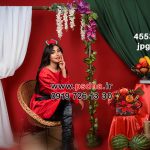 دانلود بکگراند دکور نوروز جدید کد 4433