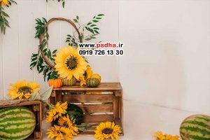 بکگراندهای زیبا و جدید آتلیه ای