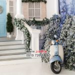 بک گراند زمستانی و کریسمس جدید کد 4230